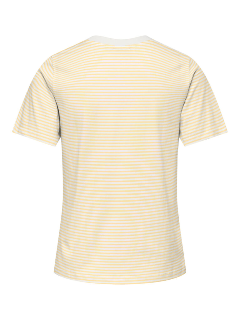 F_15298612_M_5048773_Back