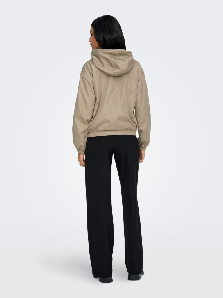 F_15361432_M_4892246_Back_1