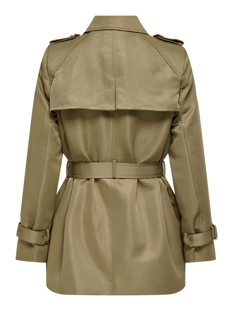 F_15363856_M_4911955_Back